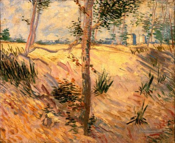 Vincent Van Gogh Werke - Bäume auf einem Gebiet an einem sonnigen Tag Vincent van Gogh